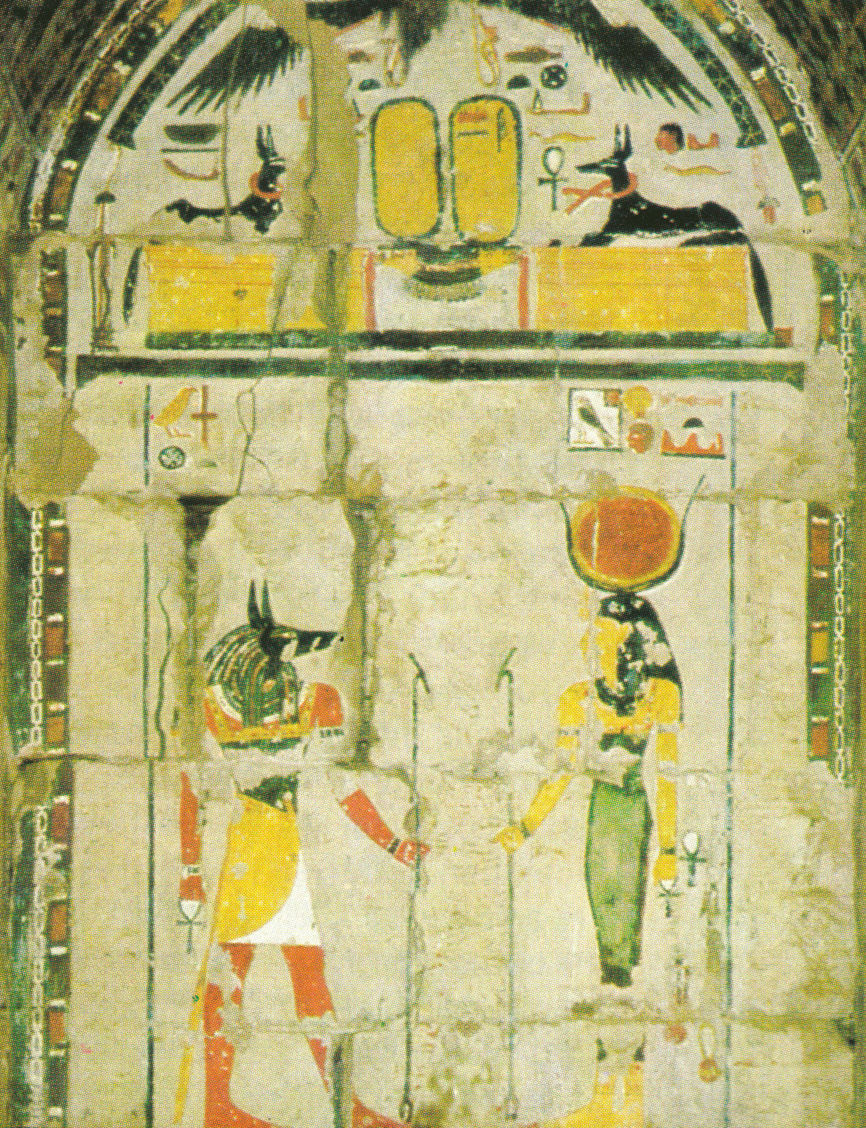 Anubis animal form