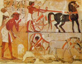 Horse symbolism