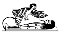 The Ba bird