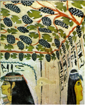 تناغم الألوان على سقف معبد